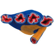 guantes38